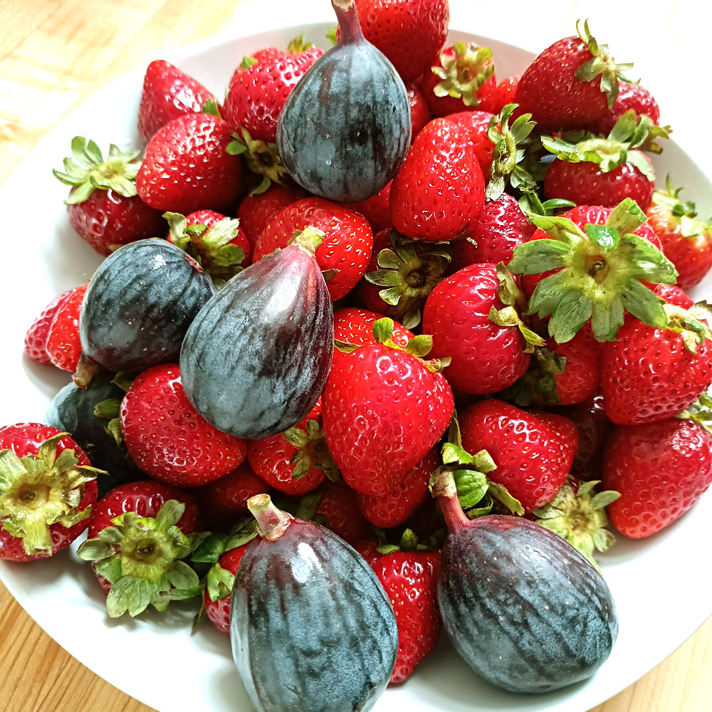 A bowl of fresh strawberries and figs to be served with warm bowl of creamy oatmeal porridge.